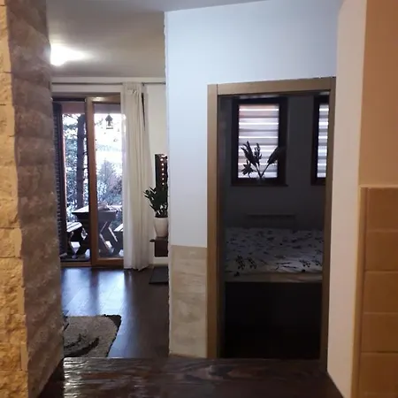 Djurkovic Apartment Zlatibor